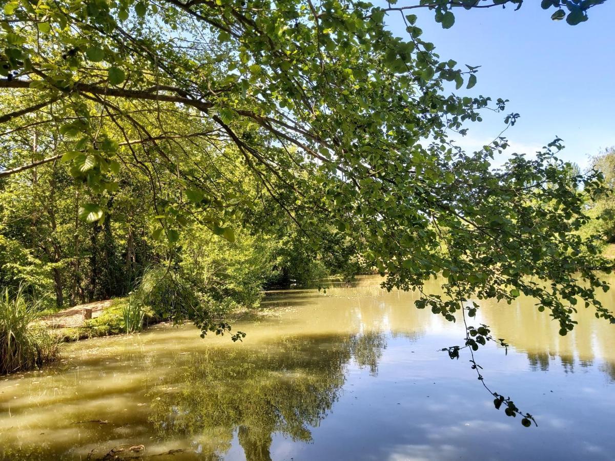 E7 Roebeck Country Park Villa Ryde  Bagian luar foto